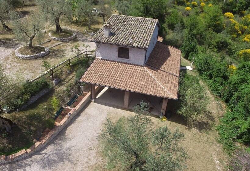 צימר Villa Nocri