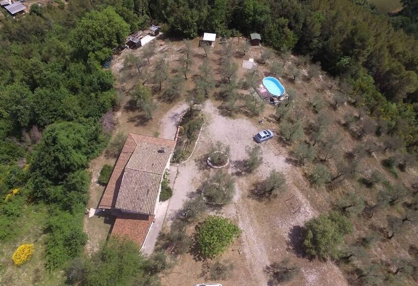 צימר Villa Nocri