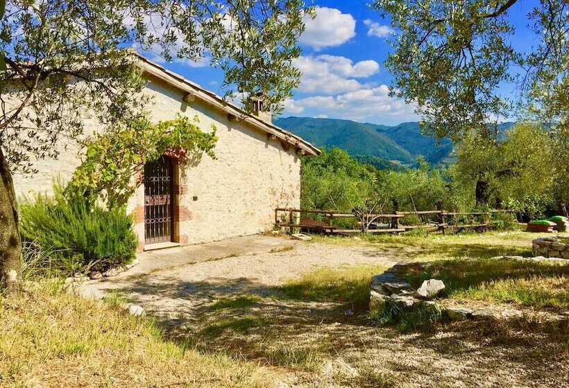 צימר Villa Nocri