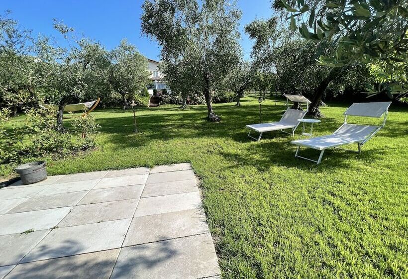 Corteviva Boutique B&b