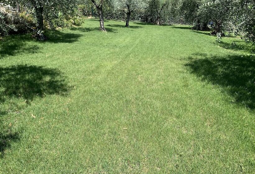 Corteviva Boutique B&b