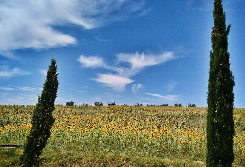 교외 호텔 Agriturismo Casa Greppo   Il Mandorlo