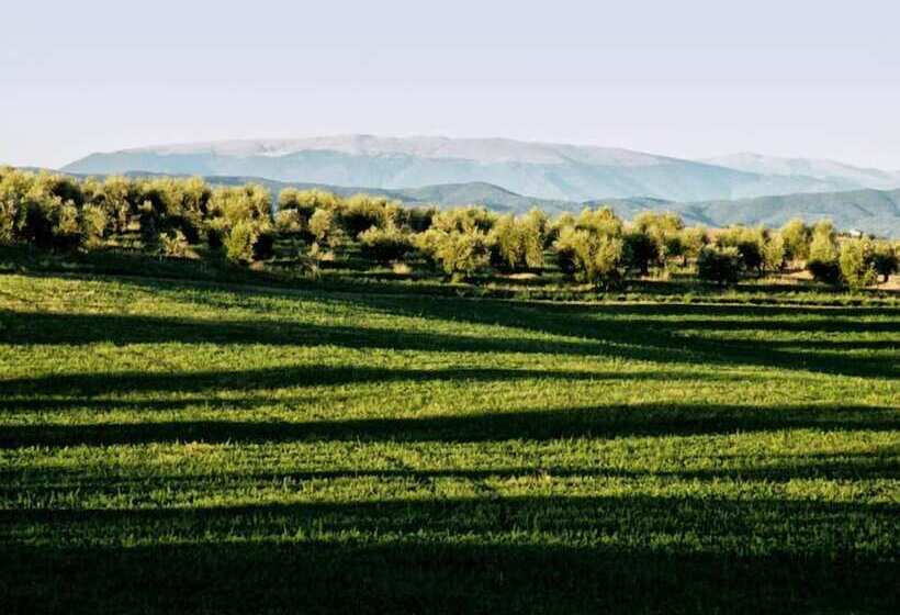 교외 호텔 Agriturismo Casa Greppo   Il Mandorlo