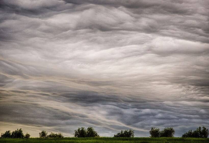 교외 호텔 Agriturismo Casa Greppo   Il Mandorlo