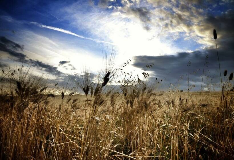 교외 호텔 Agriturismo Casa Greppo   Il Mandorlo