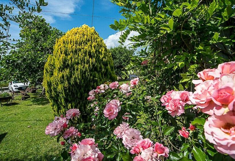 בית מלון כפרי Agriturismo Il Musaccio