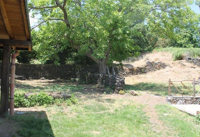 בית מלון כפרי Agriturismo La Caraffara Sull  Etna