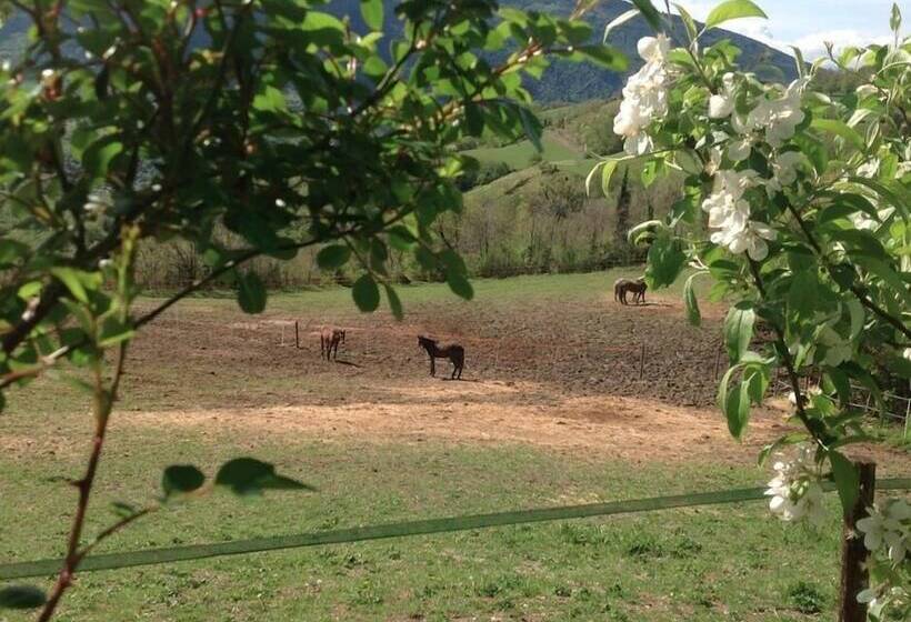 هتل روستایی Agriturismo Le Sorgenti