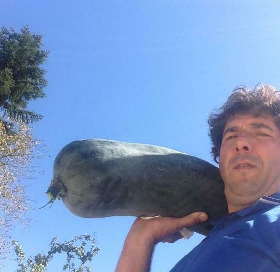 فندق ريفى Locanda Marzi