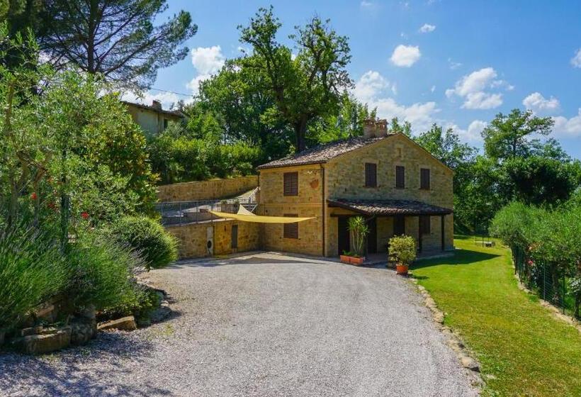 בית מלון כפרי Agriturismo Pascucci