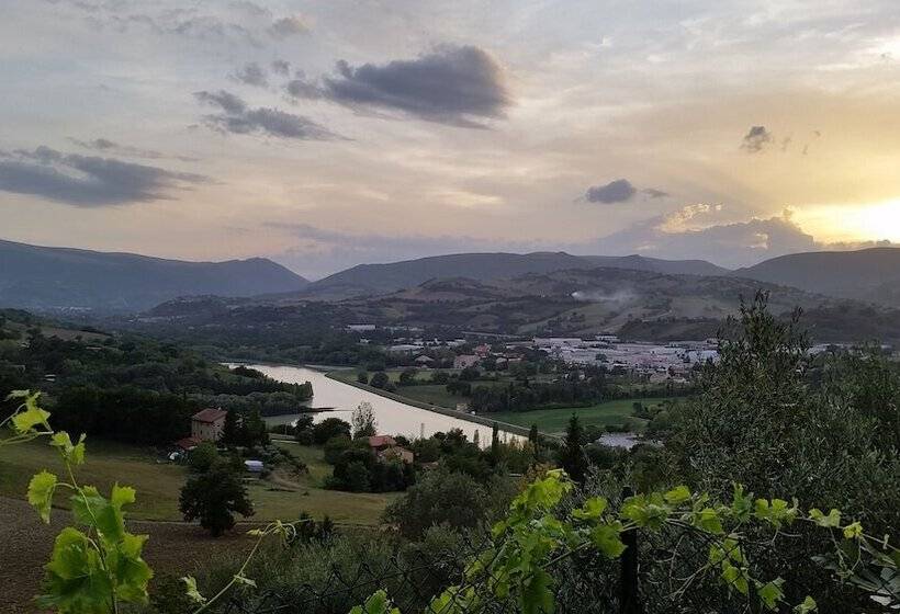 בית מלון כפרי Agriturismo Pascucci