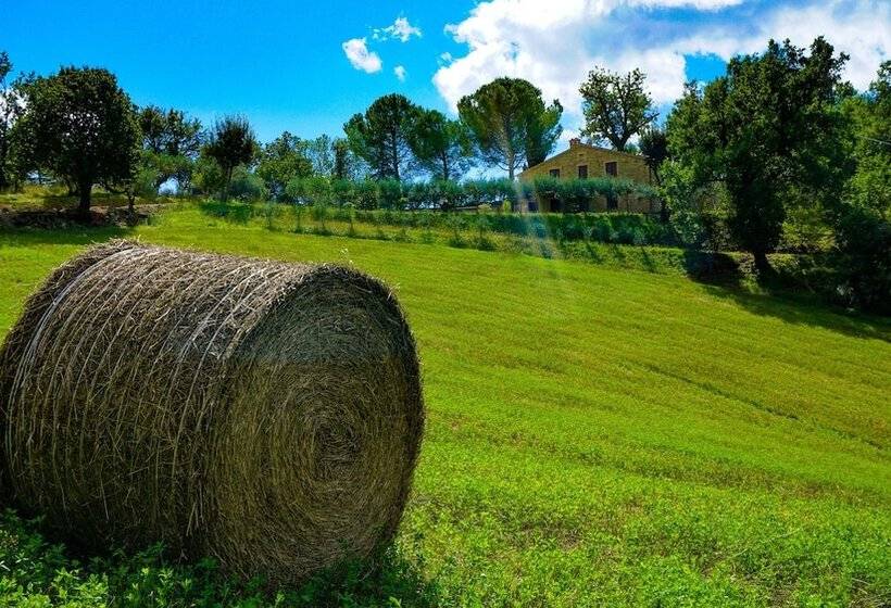 בית מלון כפרי Agriturismo Pascucci