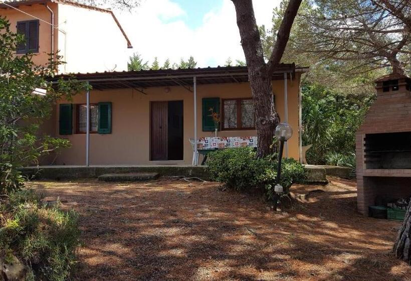 Сельский отель Agriturismo Rebua