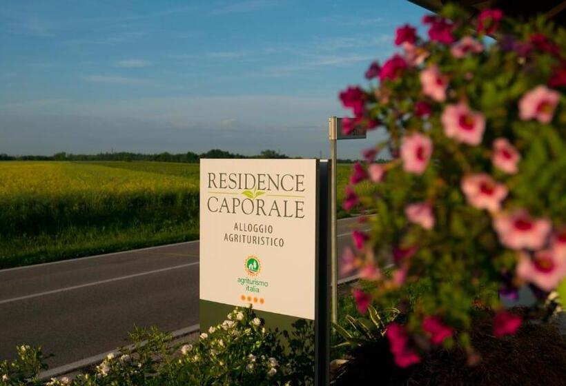 田舎風ホテル Agriturismo Residence Caporale
