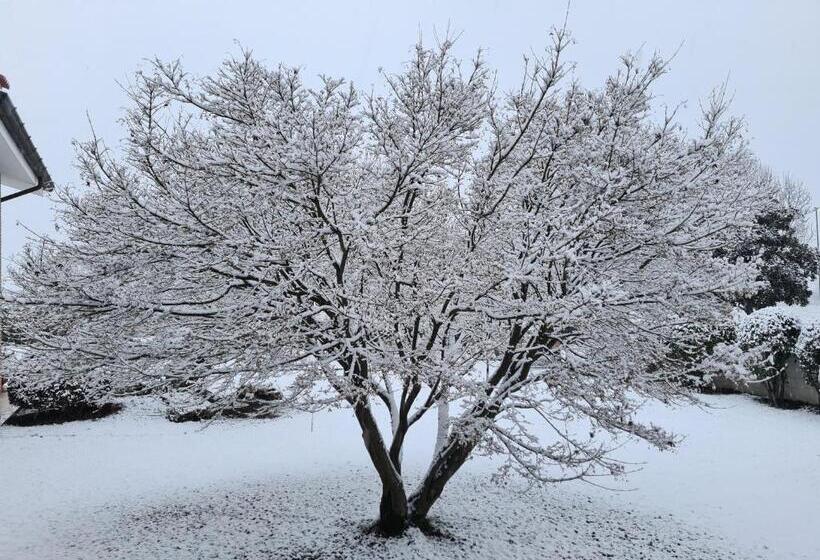 田舎風ホテル Agriturismo Residence Caporale