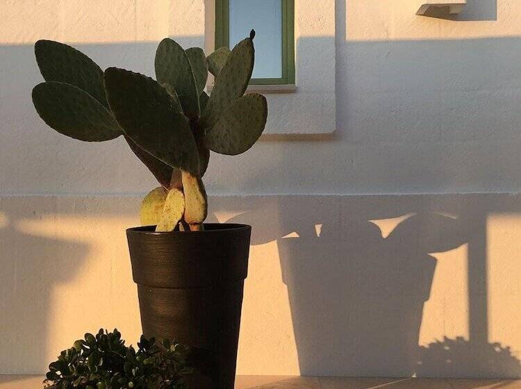 乡村酒店 Boutique Hotel Masseria Sottomasi