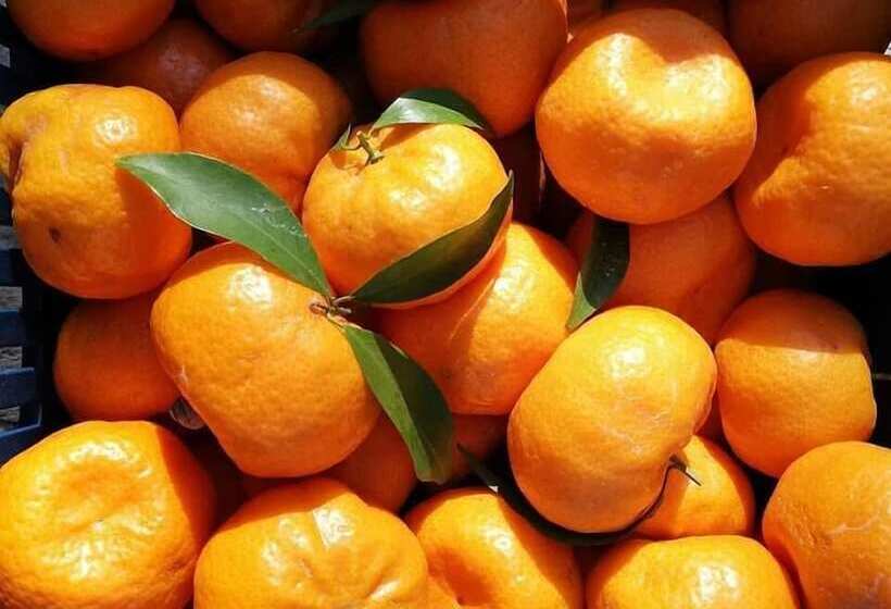 Сельский отель La Dimora Del Decano