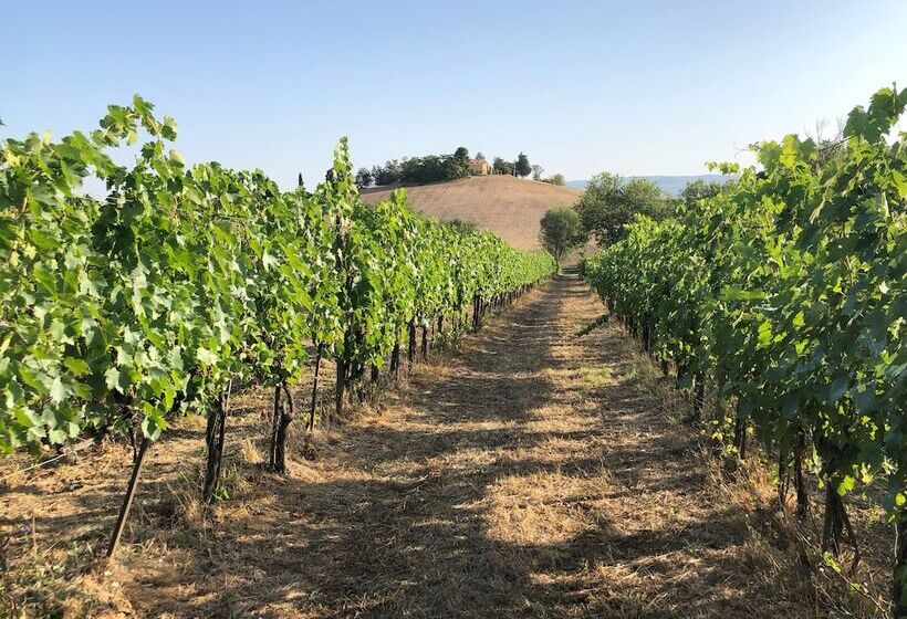 בית מלון כפרי Poggio Alla Pietra 26