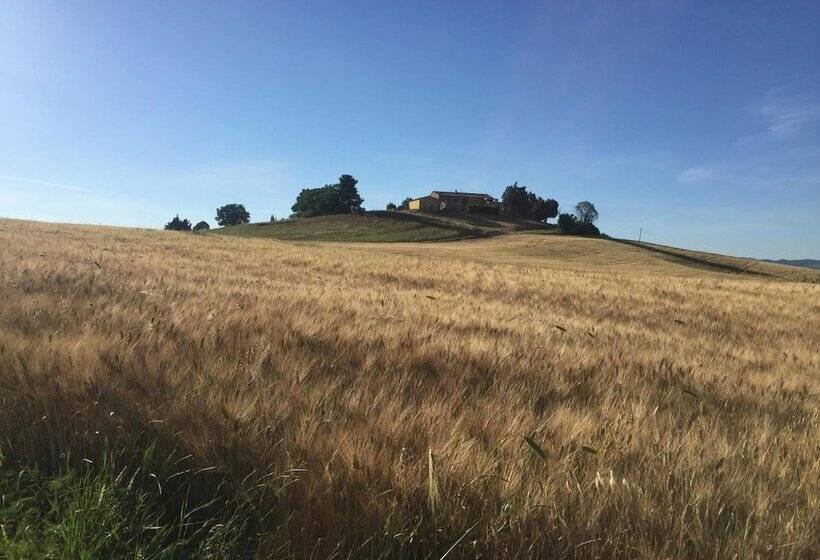 בית מלון כפרי Poggio Alla Pietra 26