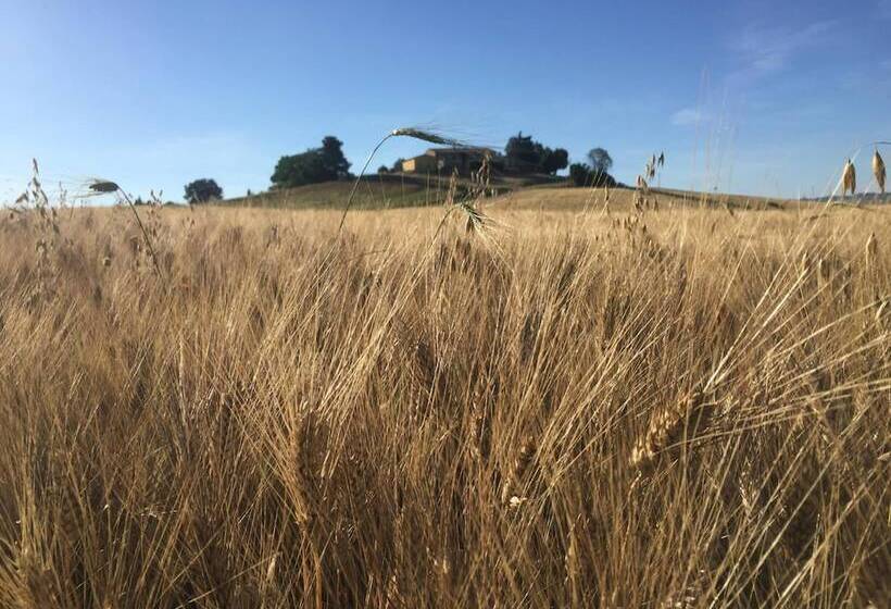 בית מלון כפרי Poggio Alla Pietra 26