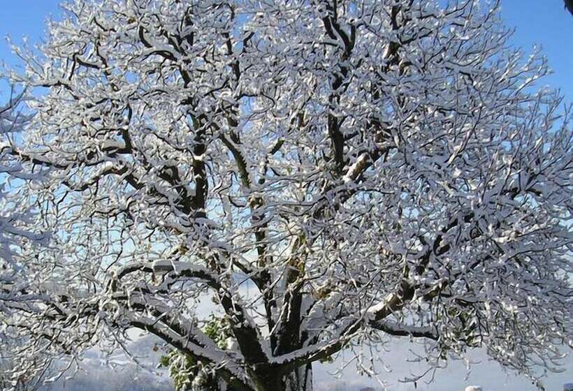 ホテル Tenuta Vecchio Castagno