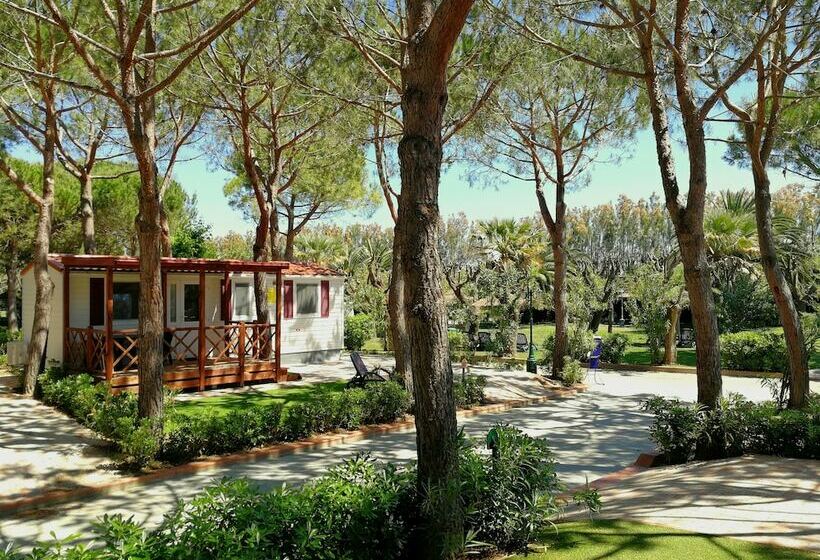 בית מלון כפרי Victoria Mobilehome Tortoreto Lido