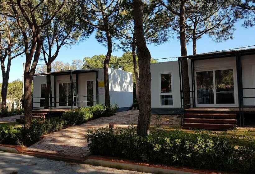 בית מלון כפרי Victoria Mobilehome Tortoreto Lido
