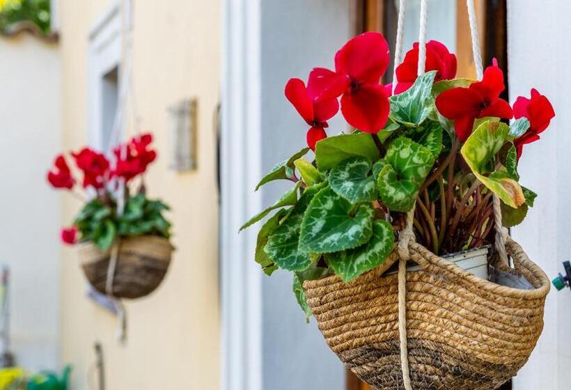 Пансион Affittacamere Is Coronas