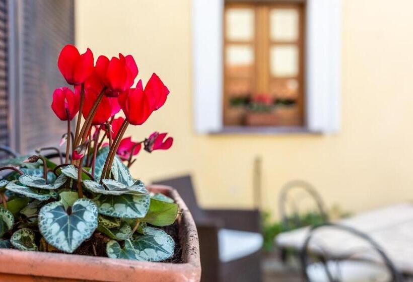 Пансион Affittacamere Is Coronas