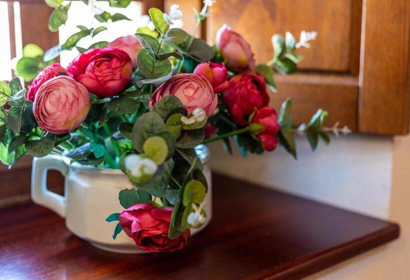 Пансион Affittacamere Is Coronas