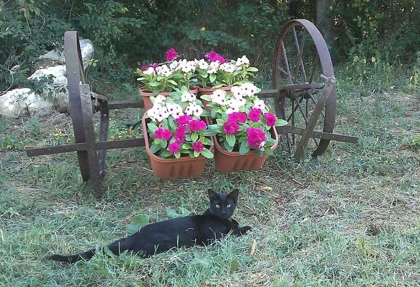 Пансион Antica Taverna Del Principe