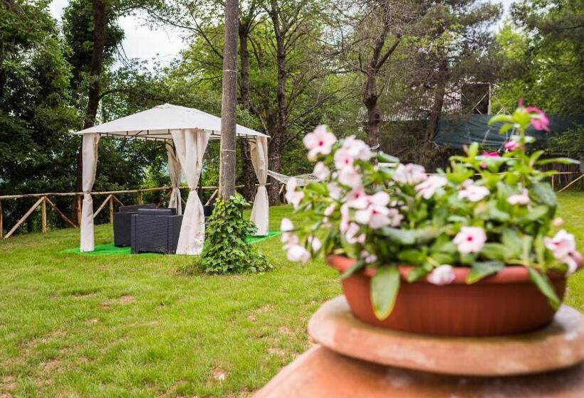 ペンション Casale Trainaro