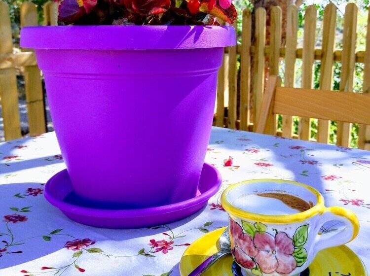 膳宿费 Il Canto Dei Venti