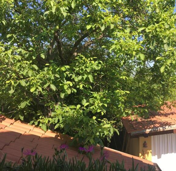 Пансион La Lanterna Camere & More