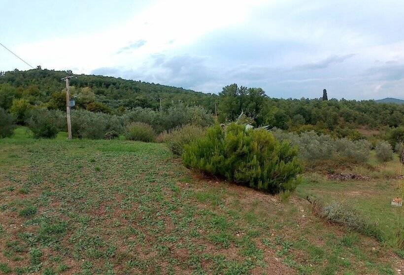 פנסיון Lippianaccio