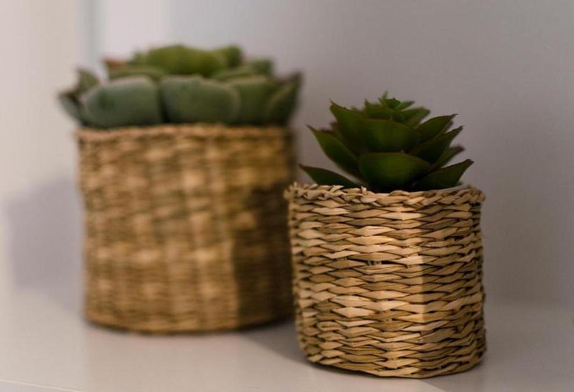 פנסיון Merlhome