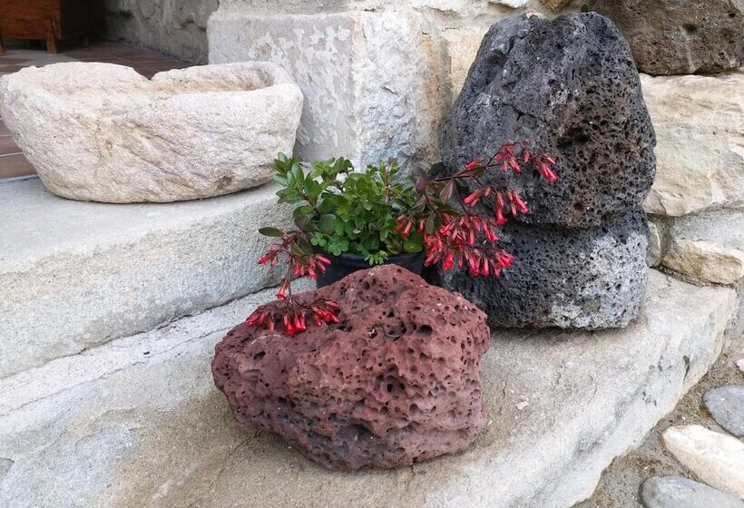 פנסיון Sa Domu De Ziu Antoneddu