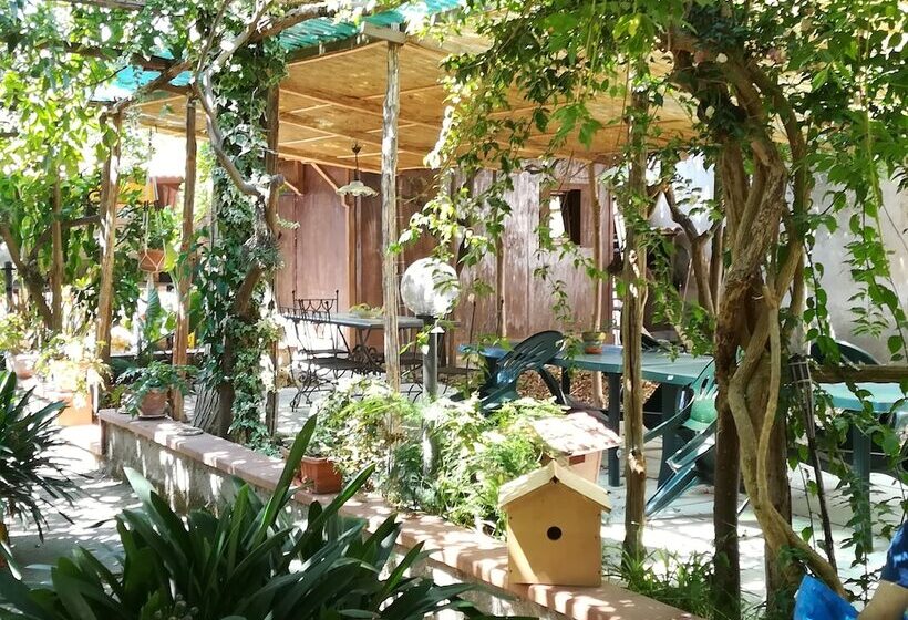 פנסיון Villino L Aranceto Sorrentino