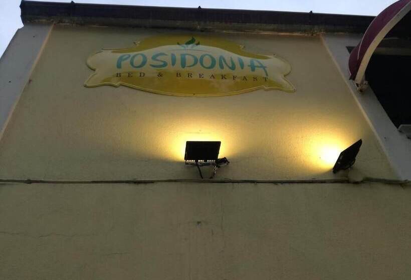 Ristorante B&b Posidonia