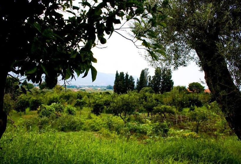 Agriturismo Aiolia   Panorama Eolie