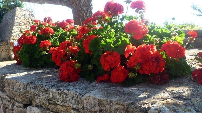 Agriturismo Regno Di Marzagaglia