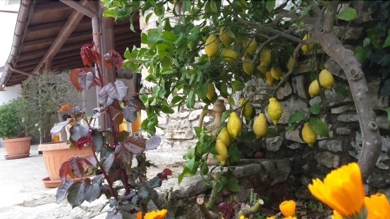 Agriturismo Regno Di Marzagaglia