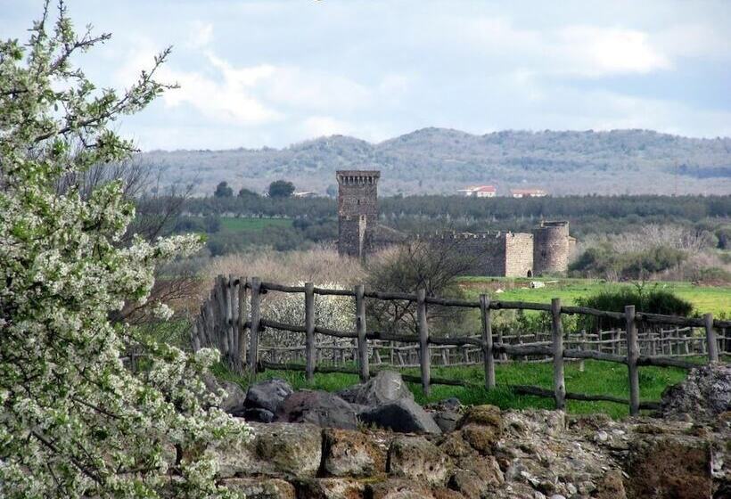 B&b Camere Montalto Centro