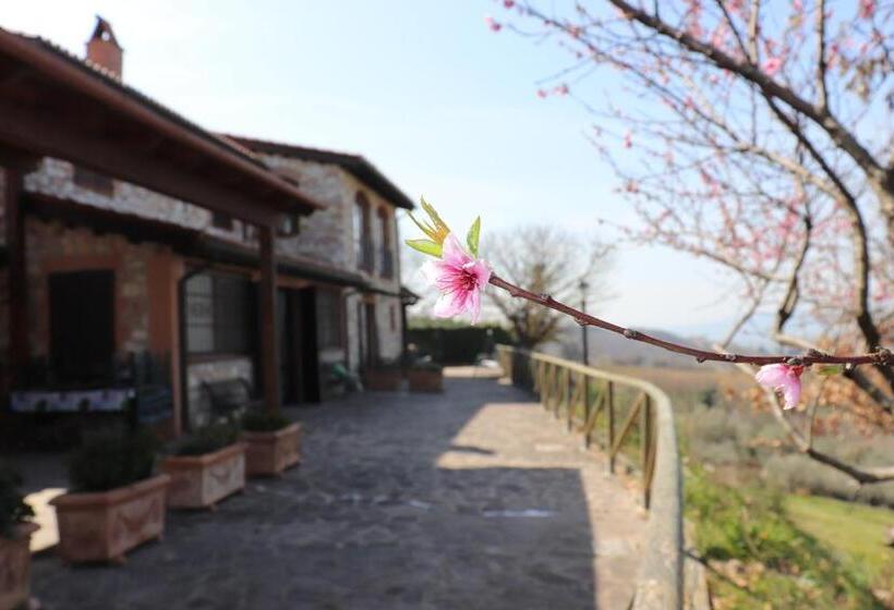 B&b Casale Roshlee