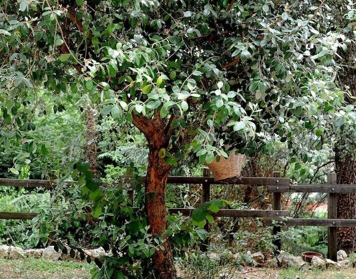 B&b Circolo Ippico Semprevisa