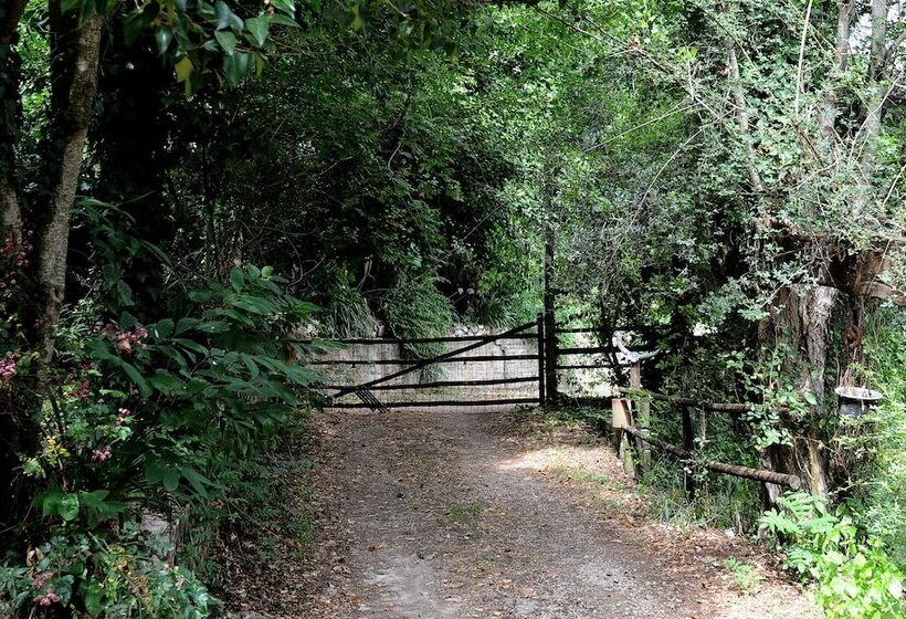 B&b Circolo Ippico Semprevisa