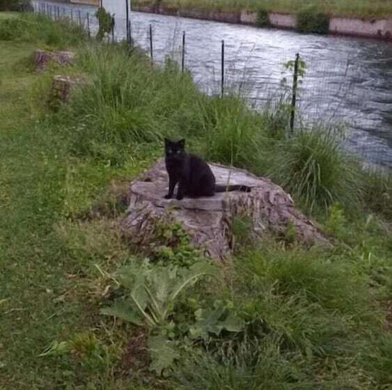 צימר Agriturismo Cascina Poscallone