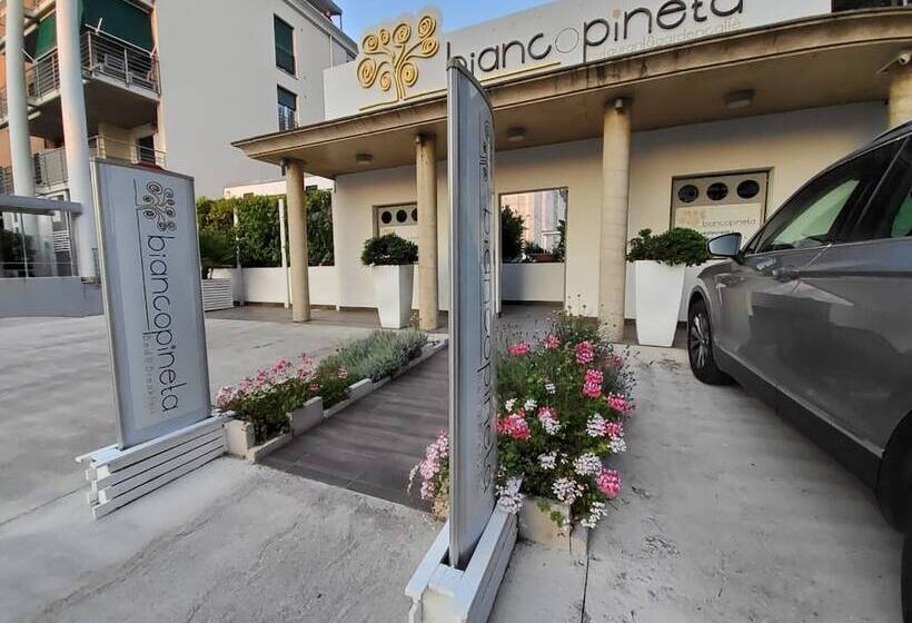 Biancopineta B&b