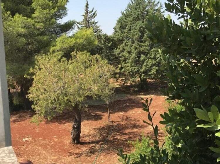 ベッドアンドブレックファースト Casa Del Grifone