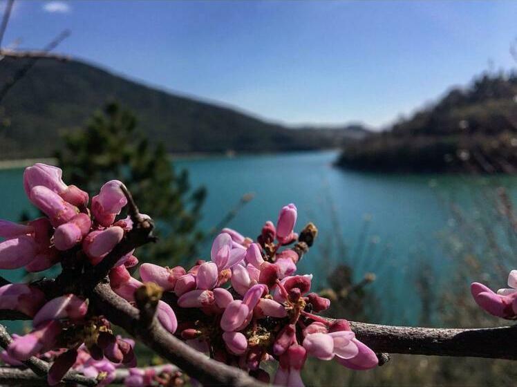 ベッドアンドブレックファースト Horti Del Baio